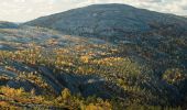 Trail On foot Pelkosenniemi - Noitatunturin valloitus (Summer hiking route) - Photo 10