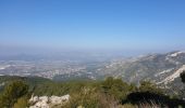 Tocht Stappen Gémenos - Coulin, Mont Cruvelier, Sommet de Bigou - Photo 8