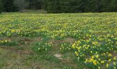 Randonnée Vélo électrique La Bresse - cascade bouchot - haut du tot - grouvelin - Photo 2