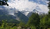 Randonnée Marche Chamonix-Mont-Blanc - Gare de Chamonix aux Houches par l'Arve - Photo 20