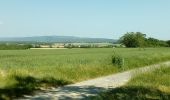 Trail Walking Saint-Félix-Lauragais - c2pa-lenclas-15/05 - Photo 4