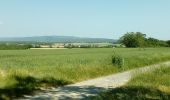 Tocht Stappen Saint-Félix-Lauragais - c2pa-lenclas-15/05 - Photo 4