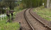 Percorso A piedi Bad Brambach - Wanderweg gelber Strich - Photo 5