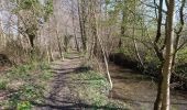 Trail Walking Huismes - Huismes - PRs avec variantes - 23.7km 295m 4h55 (25mn) - 2021 03 24 - Photo 3