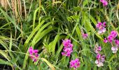 Tour Wandern Incourt - #230721 - Roux-Miroir - GR 579 - Photo 17