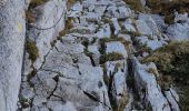 Trail Walking Bernex - Tour Dent d'Oche - Photo 12