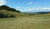 Tour Mountainbike Ihringen - VTT Kaiserstuhl 2020 - Photo 9