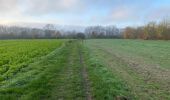 Tour Wandern Oudenaarde - Ename 13,5 km - Photo 4