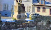Tocht Stappen Saint-Quirin - St Quirin et ses 6 roses - Photo 3