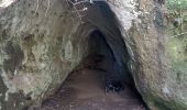 Trail Walking Nant - boucle des canalettes - Photo 6