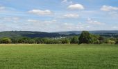 Tocht Stappen Saint-Hubert - rando arville 29/07/2020 - Photo 2