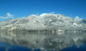 Trail On foot Sankt Gilgen - Wanderrouten Wolfgangsee - Photo 7