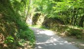 Excursión Senderismo Houffalize - Houffalize 240625 - Photo 3