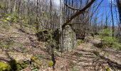 Trail Walking Florac Trois Rivières - Saint julien d’Arpaon - Photo 3