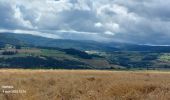 Tocht Stappen La Bastide-Puylaurent - Etape 5 Bastide Puy Laurent/ le Bleymard - Photo 1