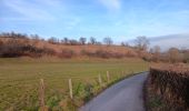 Trail Walking Theux - tillot . hodbomont . mont . wisselez . tillot - Photo 2