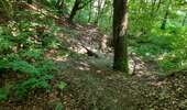 Trail Walking Dalhem - mortroux DA7  - Photo 5