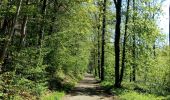 Tour Wandern Court-Saint-Étienne - la ferme blanche - Photo 2