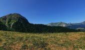 Tour Wandern Tréminis - Boucle et sommet de l'Aup - Photo 3