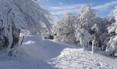 Randonnée Raquettes à neige Léoncel - Le Grand Echaillon - Les Crêtes de la Sausse - Photo 8