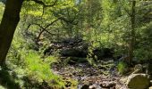 Randonnée Marche Jalhay - La hoëgne juin - Photo 9