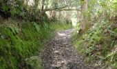 Tour Wandern Camaret-sur-Mer - CAMARET  - Photo 18