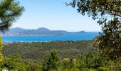 Trail Walking Roquebrune-sur-Argens - REV Château Vaudois les petites Maures - Photo 1