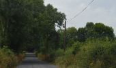 Randonnée A pied The Municipal District of Cahir — Cashel - Lough Muskry - Photo 10