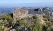 Trail Walking Roquebrun - Roquebrun - Laurenque - Ermitage St Etienne - Photo 3