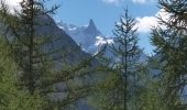 Trail Walking Chamonix-Mont-Blanc - TMB8 CAF 24 - Photo 9