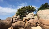 Randonnée Marche Perros-Guirec - Bretagne - Ploumanac’h-Tregastel  par la côte de Granit Rose - Photo 17