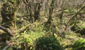 Randonnée Marche Lauroux - Cirque de Labeil - Lauroux-Labeil - Photo 13