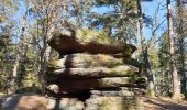 Trail Walking Ottrott - Mont Sainte-Odile - Tour du mur Païen - Photo 9