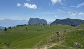 Trail Walking Saint-Agnan-en-Vercors - Veymont pré râteau  - Photo 8