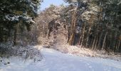 Tour Zu Fuß Oer-Erkenschwick - Mutter Wehner Rundweg A4 - Photo 10