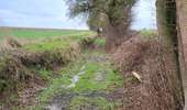 Trail Walking Gembloux - Sauveniere 050226 - Photo 1