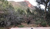 Trail On foot Saint-Raphaël - 2 pics et 3 cols depuis le parking d' Antheor - Photo 10