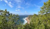 Trail Walking Le Pradet - Fort bayarde - Photo 10