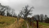 Tocht Stappen Comblain-au-Pont - oneux . chanbralles . croix septroux . hoyemont . oneux  - Photo 14