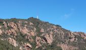 Tour Wandern Saint-Raphaël - Pic de l'ours et pic d'Aurelle - Photo 3