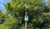 Tocht Noords wandelen Saint-Léger - Marche dans l'après-midi - Photo 5