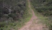 Trail Walking Cuers - Cuers .la bouisse , le roucas de mounier - Photo 10