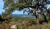 Randonnée Marche Les Mayons - Sur les hauteurs des Mayons - Photo 4