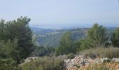 Tour Wandern Évenos - Cap Gros en partant du col du corps de Garde - Photo 19