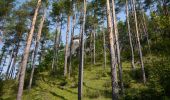 Tour Zu Fuß Waischenfeld - Waischenfeld Rundwanderweg Blauer Ring - Photo 8