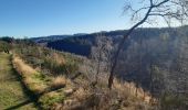 Trail Walking Lierneux - lierneux . promenade aérienne dans la vallee de la lienne - Photo 8