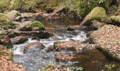 Tocht Stappen Huelgoat - Forêt Huelgoat - Photo 10