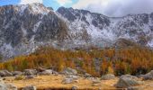 Tocht Te voet Tende - Vallée des Merveilles - Photo 1