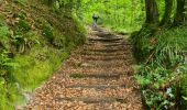 Tour Wandern Glomel - La grande tranchée - Photo 17