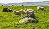 Randonnée A pied Unknown - Avebury Archaeology Walk - Photo 1